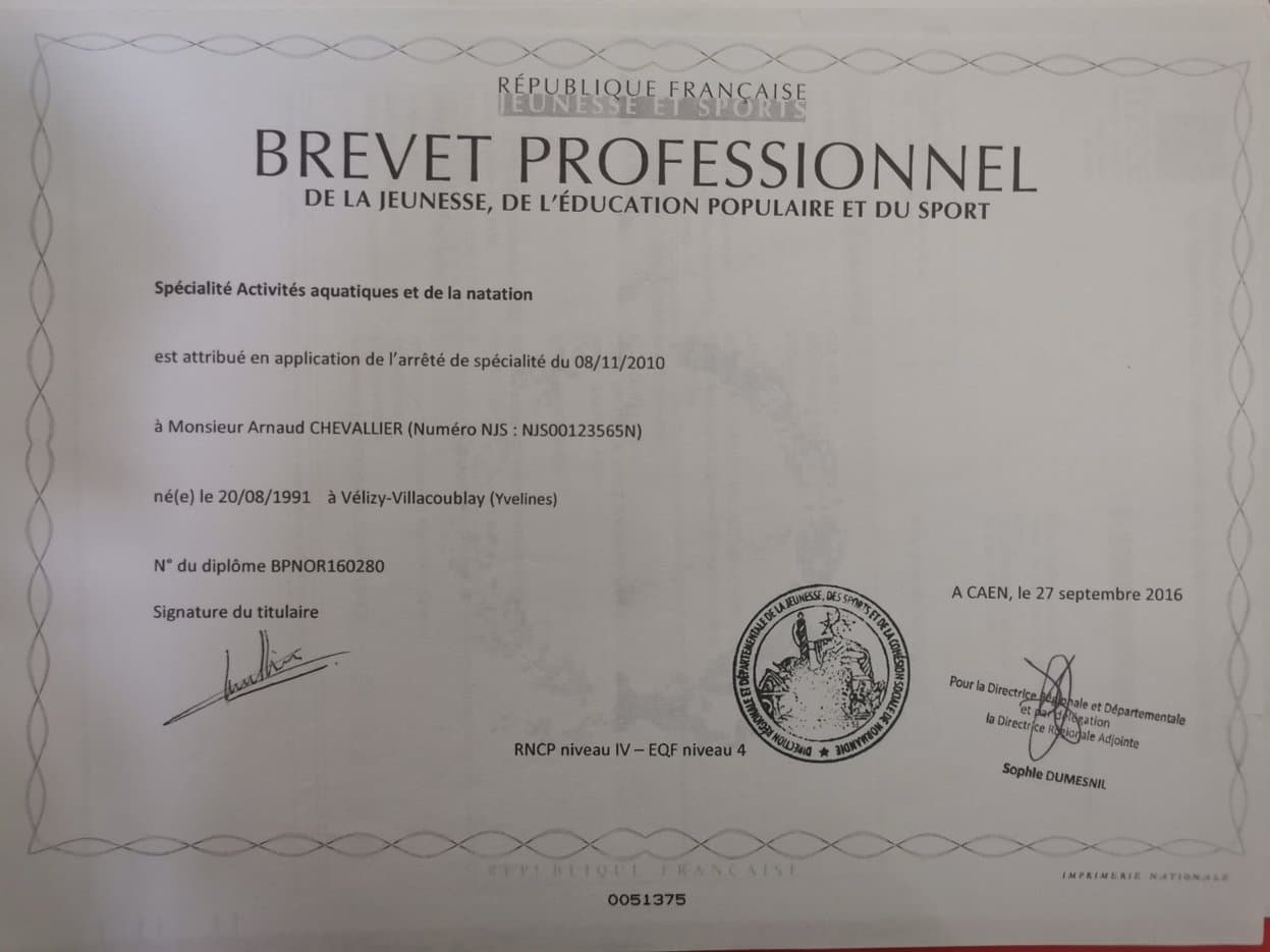 Diplôme BPJEPS Activités Aquatiques et de la Natation